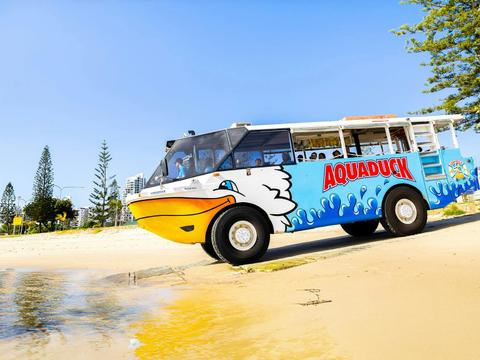 Aquaduck 1 hour city tour and river cruise