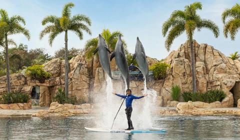 Australia's Sea World