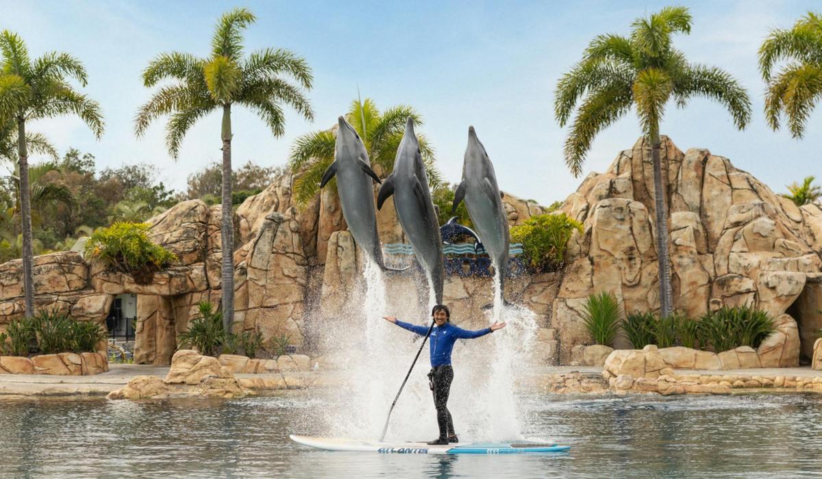 ONE Dolphin Presentation - Sea World