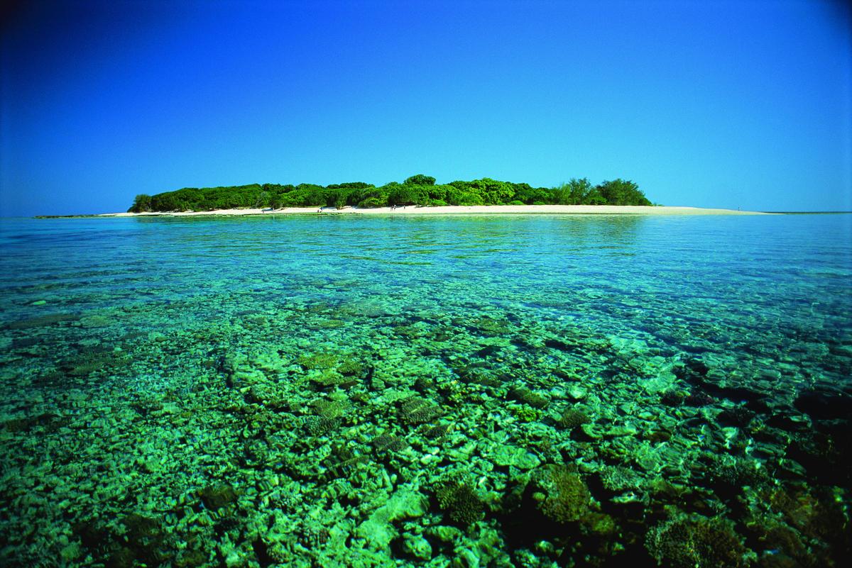Great Barrier Reef 3 Day Tour