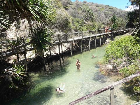 Fraser Island - 2 Day Four Wheel Drive Tours
