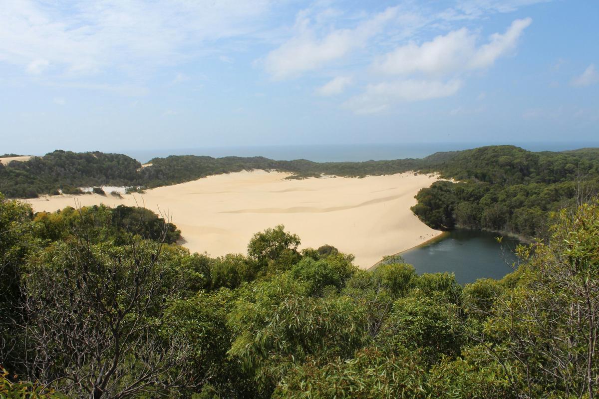Fraser Island and Great Barrier Reef 5 and 6 Day Tour
