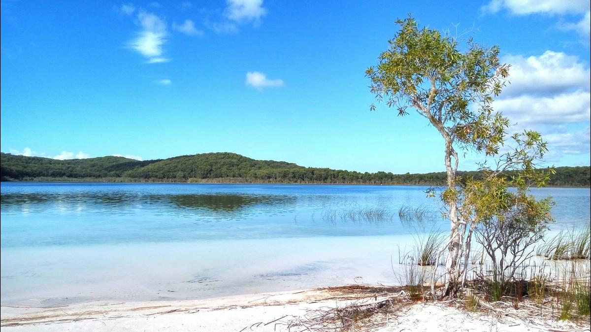 Fraser Island and Great Barrier Reef 5 and 6 Day Tour
