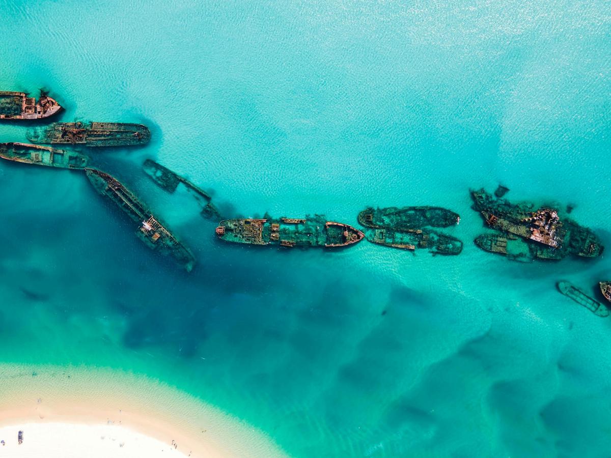 See the majestic 15 Tangalooma Sunken Wrecks on Moreton Island