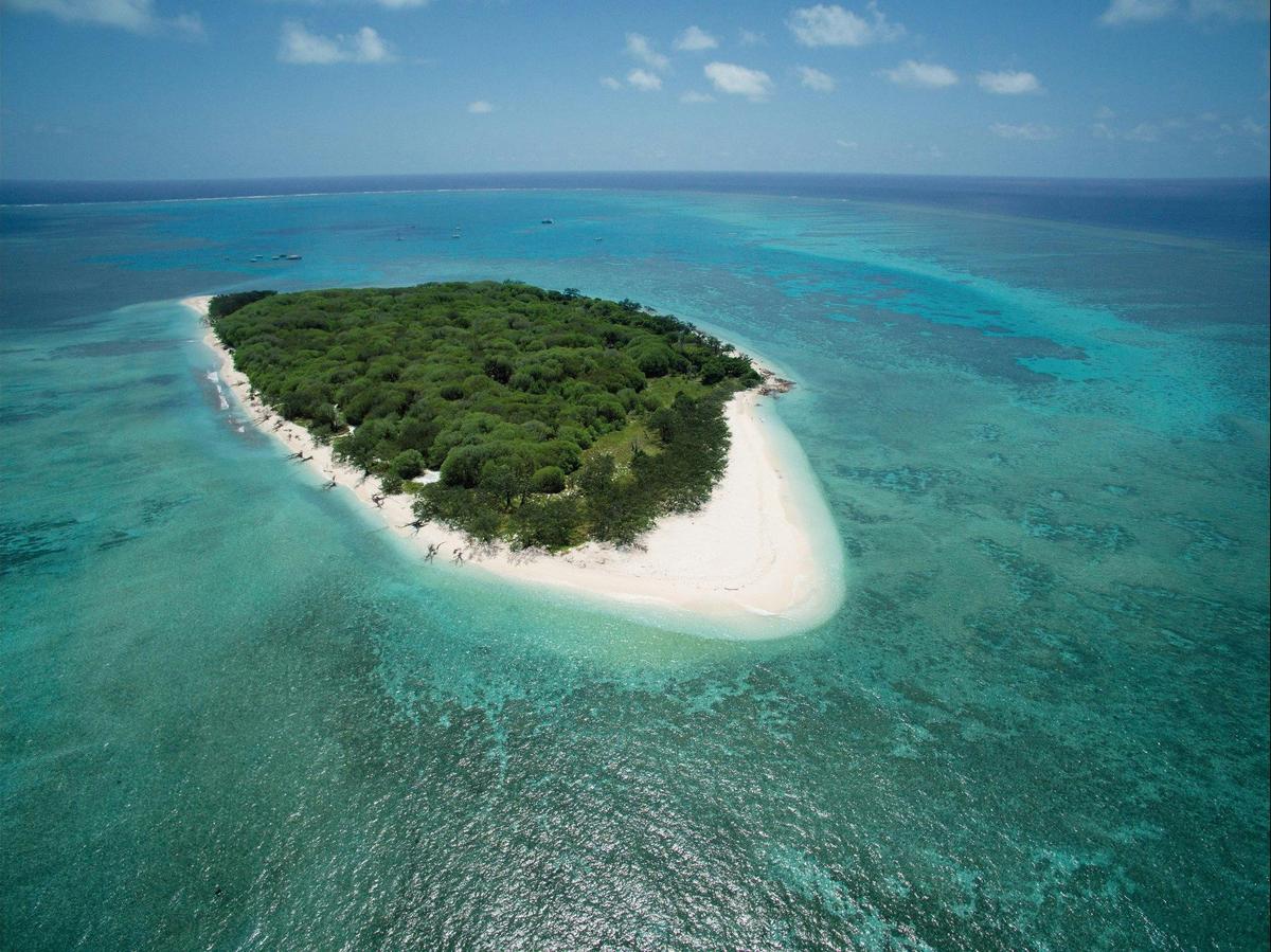 Fraser Island and Great Barrier Reef 5 and 6 Day Tour