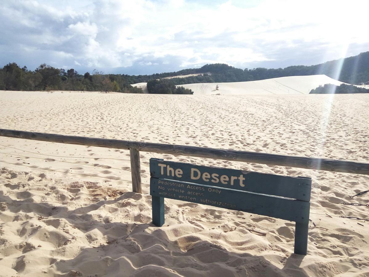 Australian Sunset Safaris Moreton Island Get Wrecked 1 Day Tour