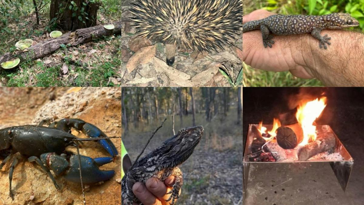 Award winning Childers Nature Camp