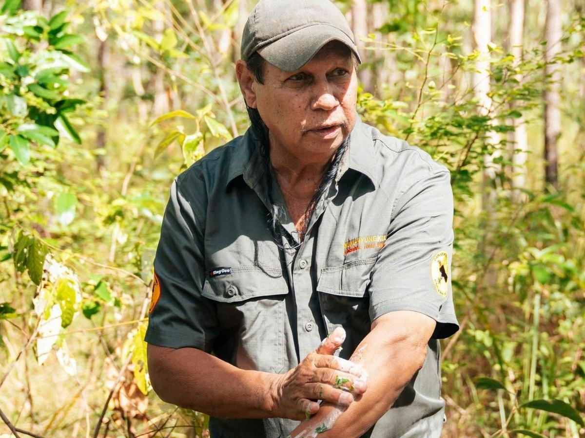 Ancient Dreaming - Cooktown & Bloomfield 4WD Adventure