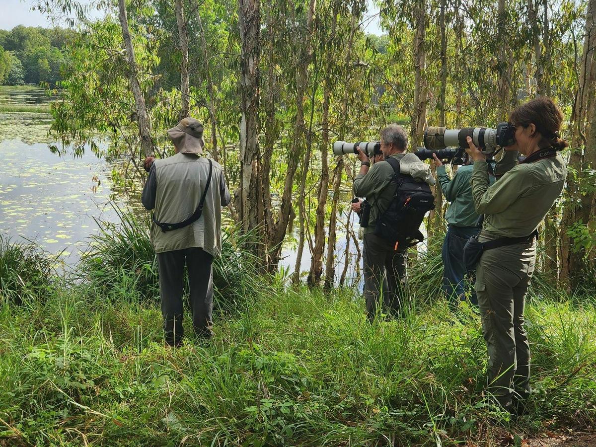 Wildlife Photography Safari of Far North Queensland