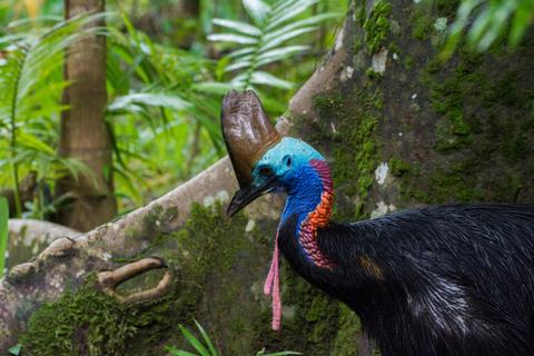 Australian Geographic Travel