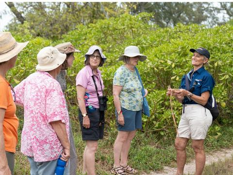 Turtle Conservation of the Southern Great Barrier Reef