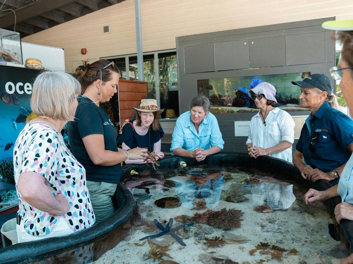 Turtle Conservation of the Southern Great Barrier Reef