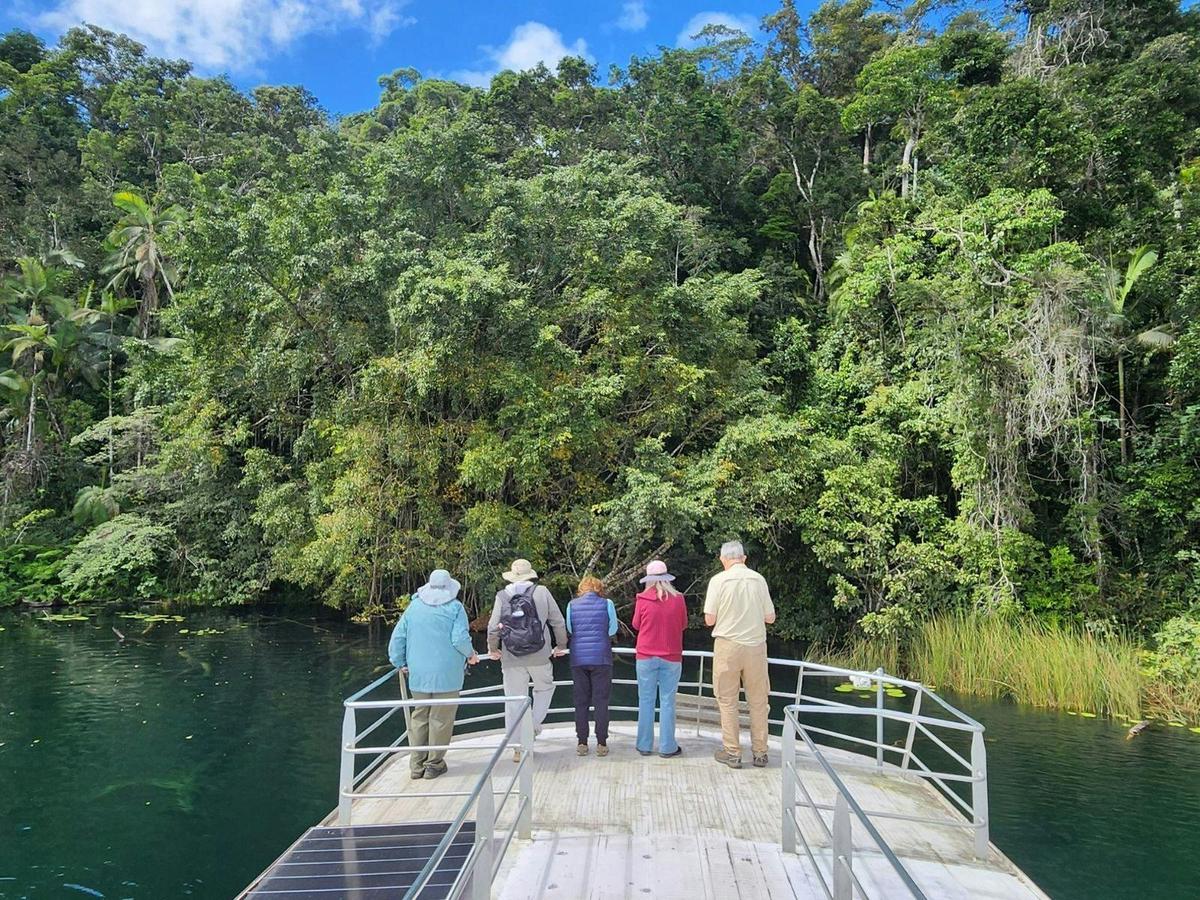 Tropical Birding in North Queensland