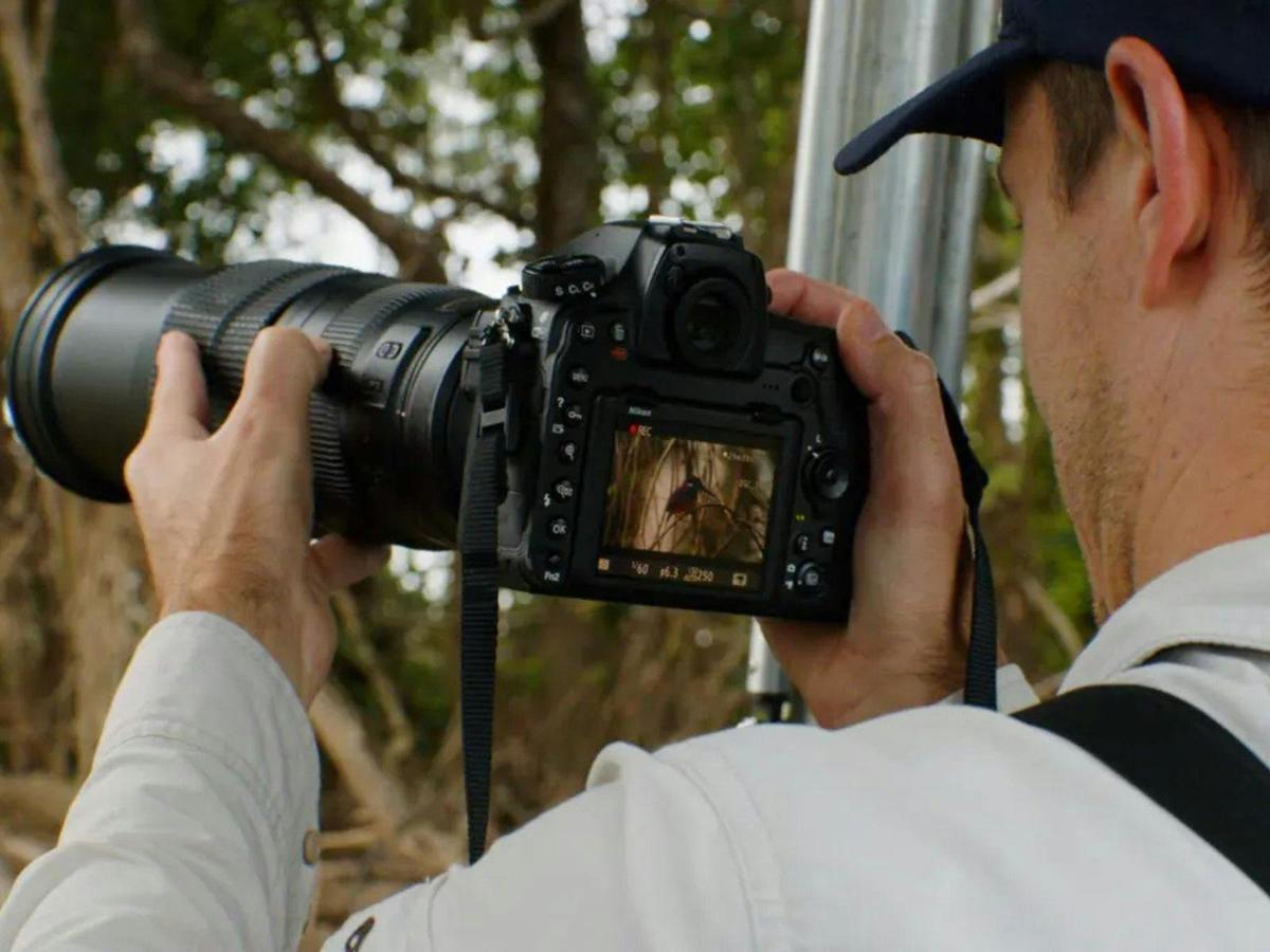 Wildlife Photography Safari of Far North Queensland