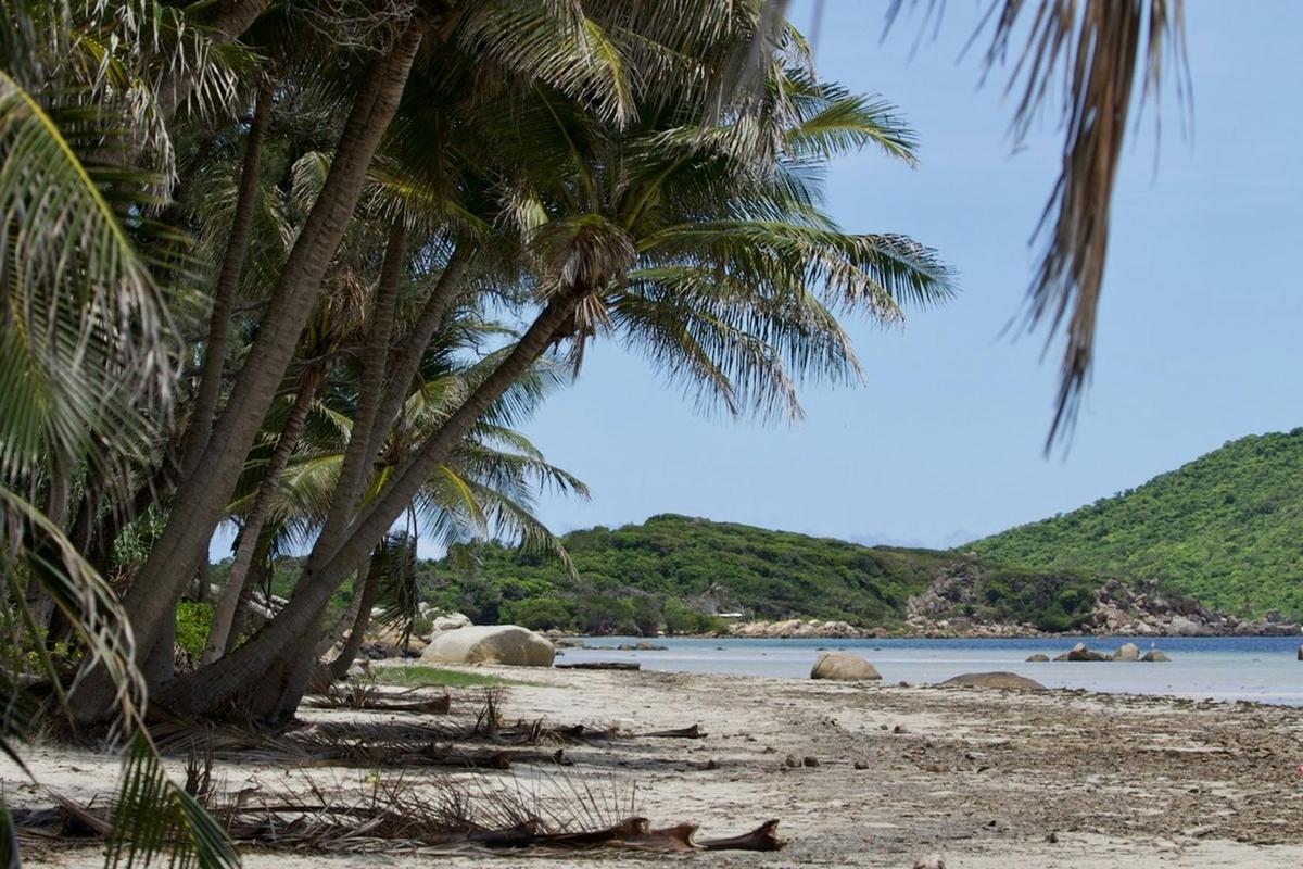 Cape York Birdwatching Safari