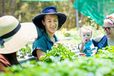 Basilea Farm