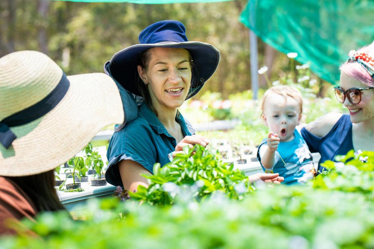 Excite & delight your senses at Basilea Farm