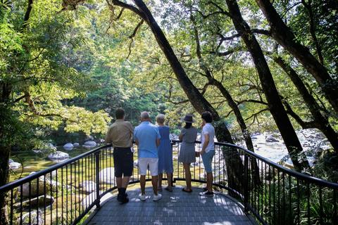 3 Day Cairns to Daintree Cape Tribulation Port Douglas Comfort Tour