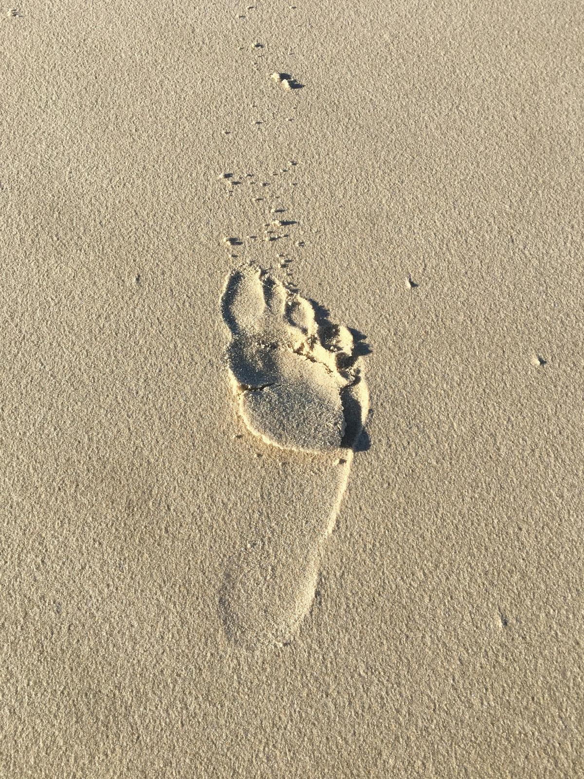 Human Global Footprint