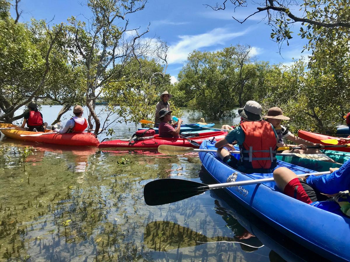 Kayaking Adventure