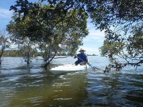 Tingalpa Creek - Intermediate Tour (Kayak only)