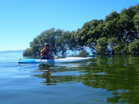 Epic Wildlife Adventure - Intermediate Tour (Kayak only)