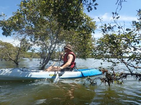 Epic Wildlife Adventure - Intermediate Tour (Kayak only)