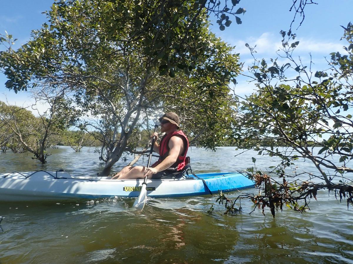Epic Wildlife Adventure - Intermediate Tour (Kayak only)