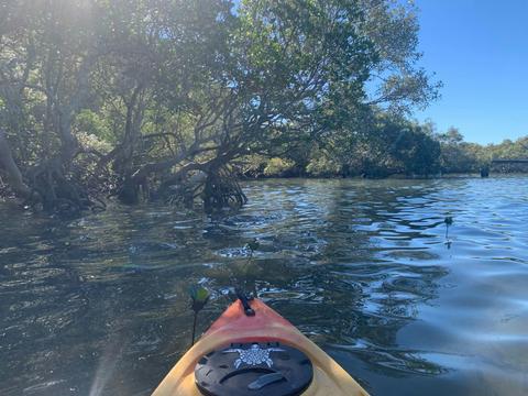 Hilliards Creek Wonderland - Intermediate Tour (Kayak only)