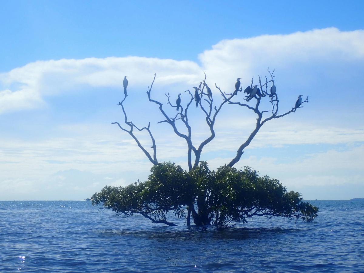 Nature’s Music - Beginners Tour (Kayak/Water Bike option)