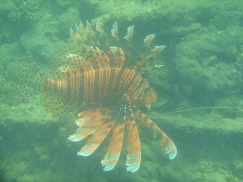 1 Day Moreton Island Adventure Tour
