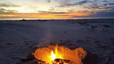 1 Day Moreton Island Four Wheel Drive Tour