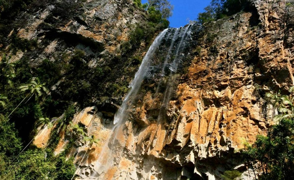 Gold Coast Hinterland Great Walk Highlights - 5 Day - Self-Guided