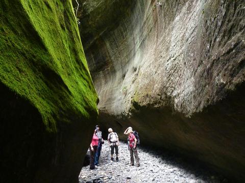 Carnarvon Gorge - 4 Day - Group-Guided