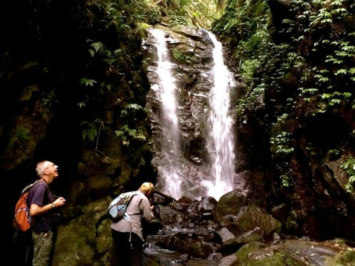 Gold Coast Hinterland - 6 Day - Group-Guided