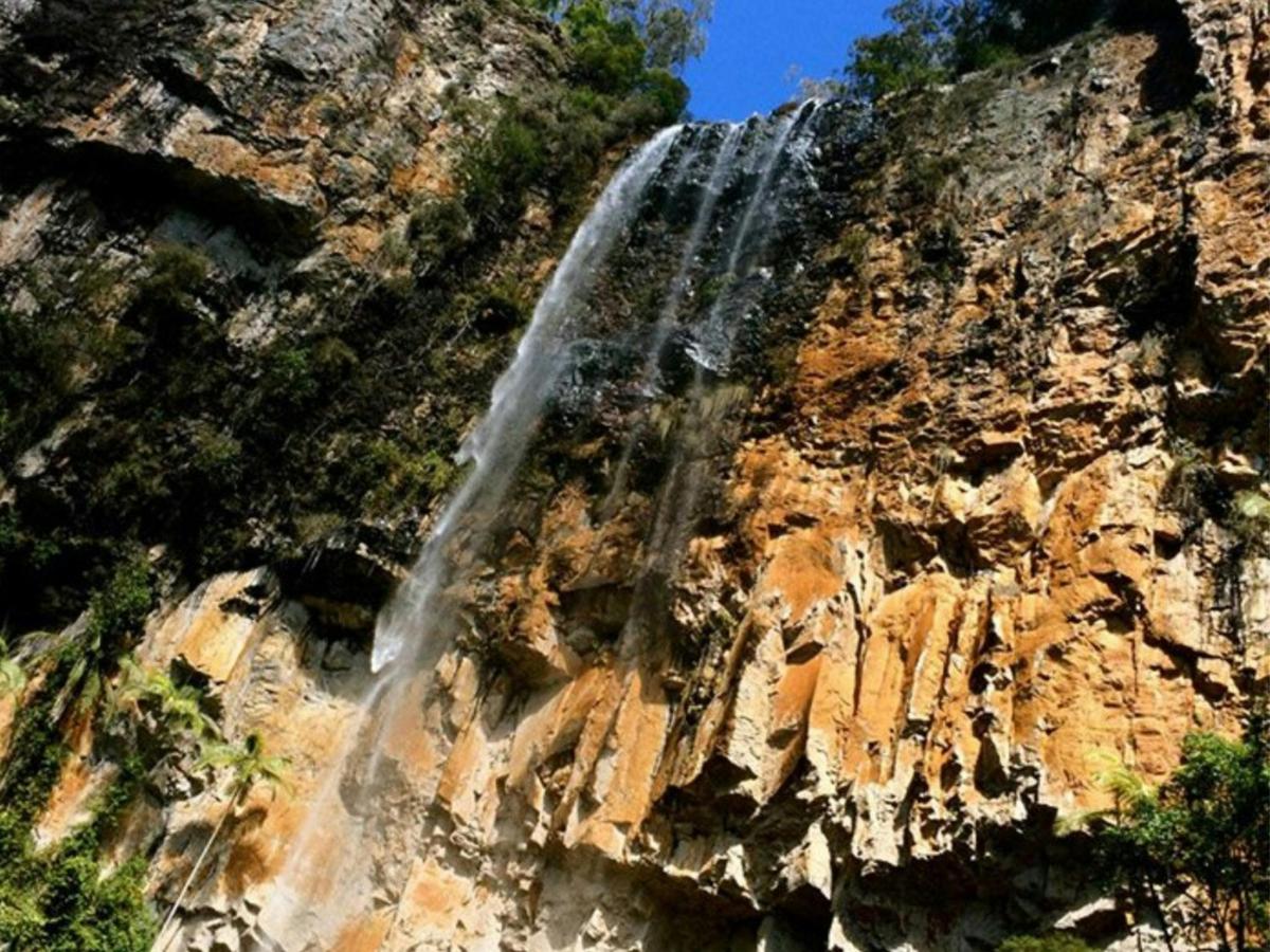 Gold Coast Hinterland Great Walk - 7 Day - Self-Guided