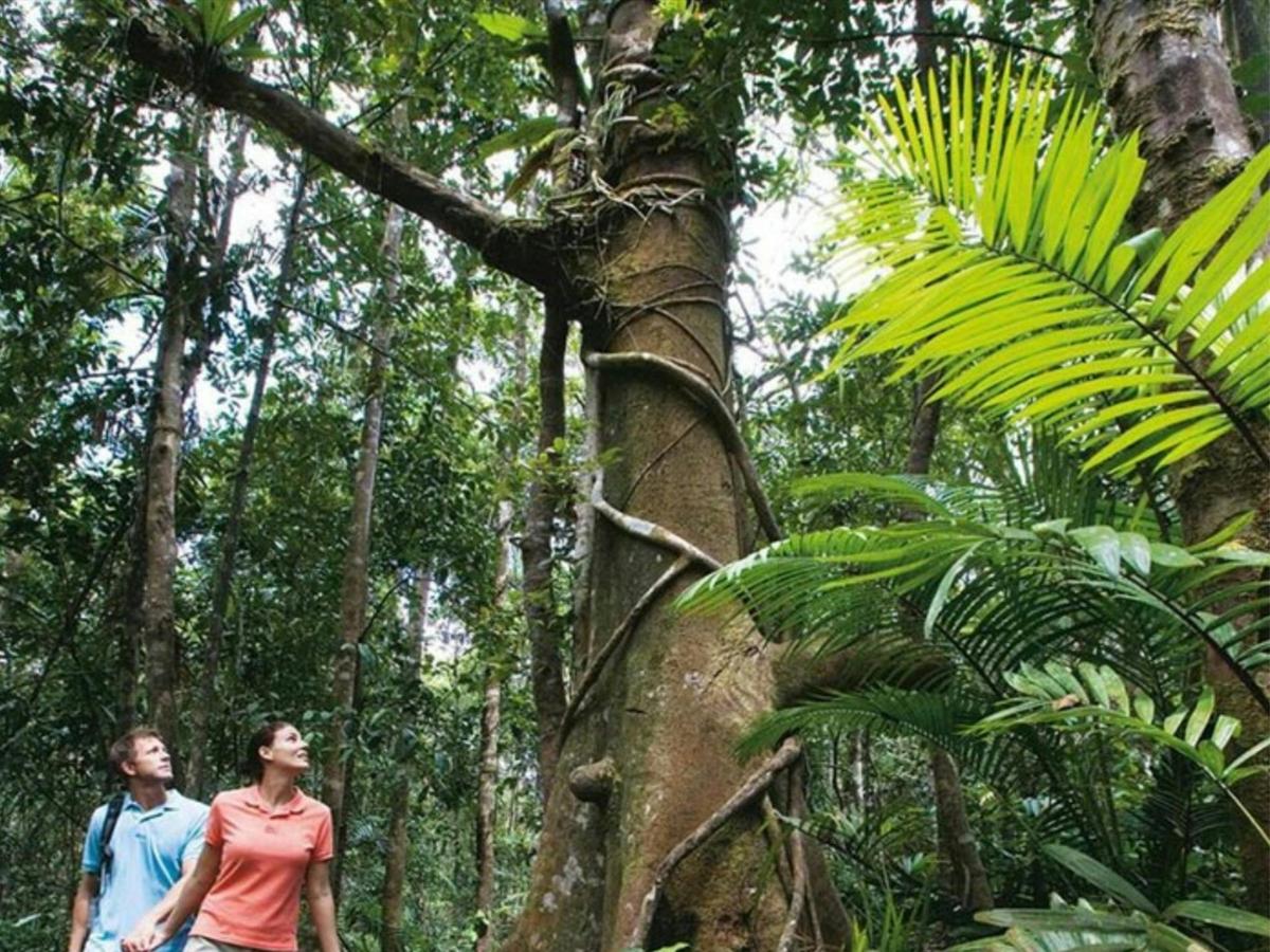 Daintree, Atherton Tablelands, Mossman Gorge & Dunk Island - 8 Day - Group-Guided