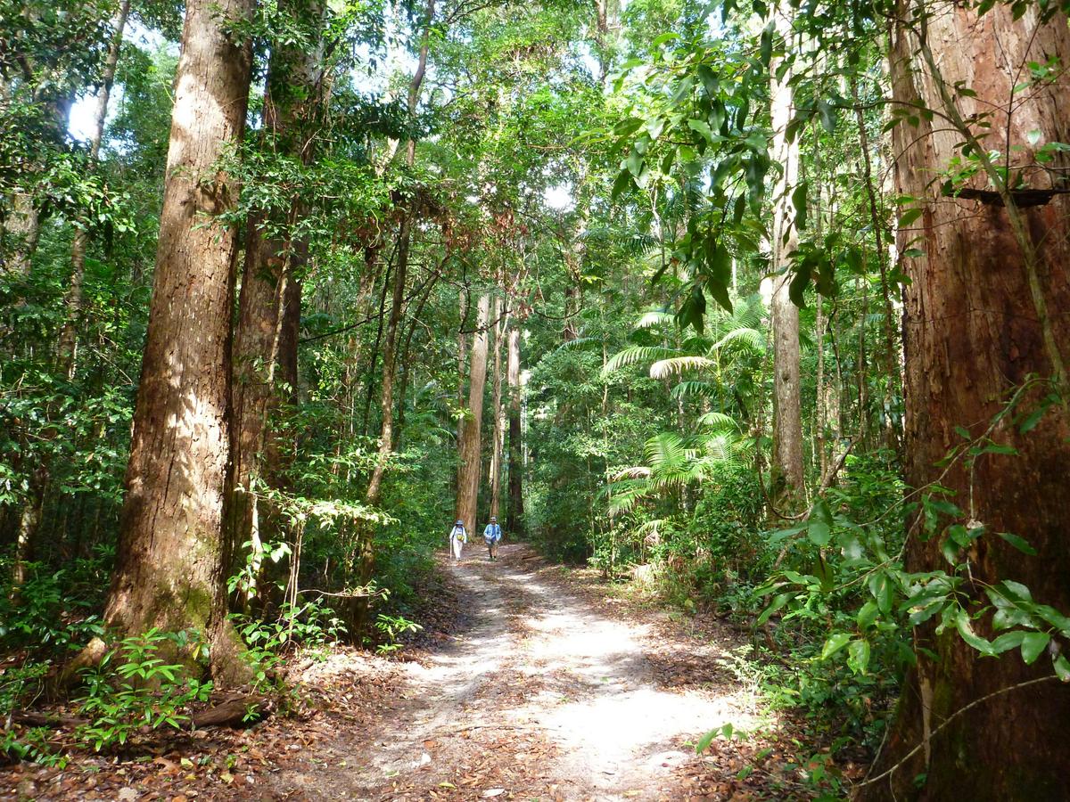 Fraser Island (Kgari) & Carnarvon Gorge - 7 Days Group Guided