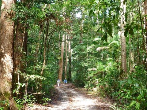 K'gari (Fraser Island Great Walk) - 7 Day - Self-Guided