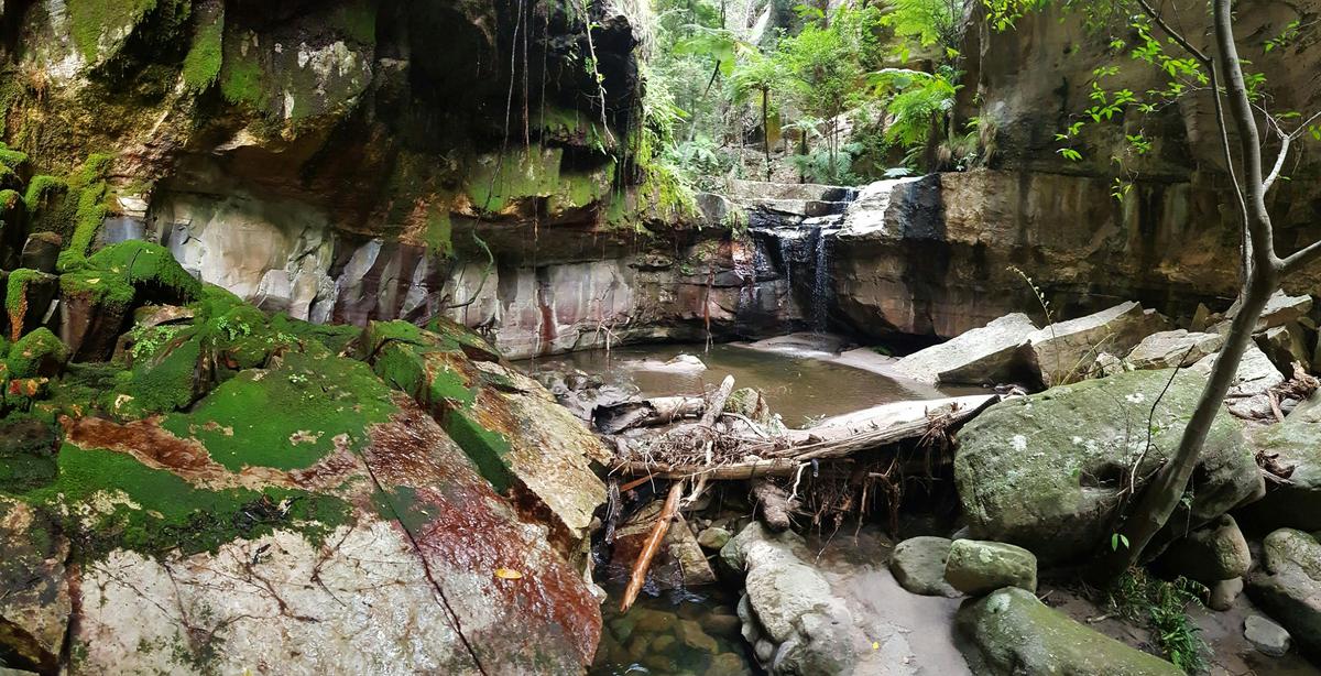 Carnarvon Gorge - 4 Day - Group-Guided