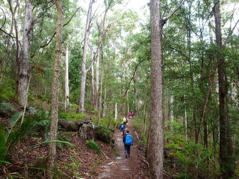 Fraser Island (Kgari) & Carnarvon Gorge - 7 Days Group Guided