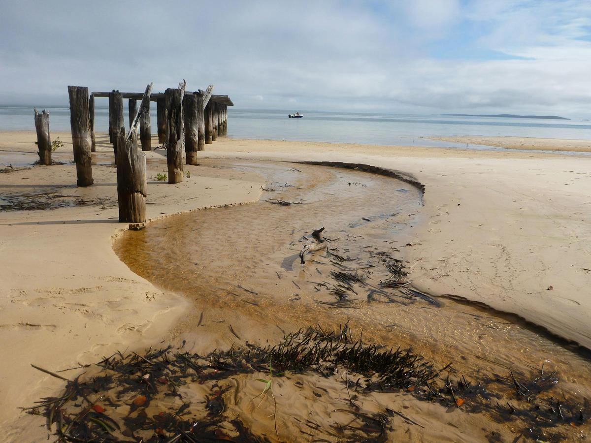 Fraser Island (Kgari) & Carnarvon Gorge - 7 Days Group Guided