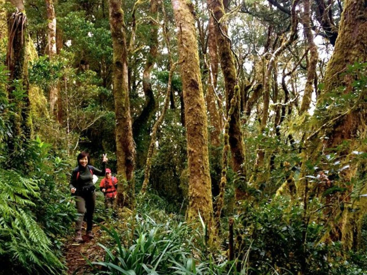 Gold Coast Hinterland - 6 Day - Group-Guided