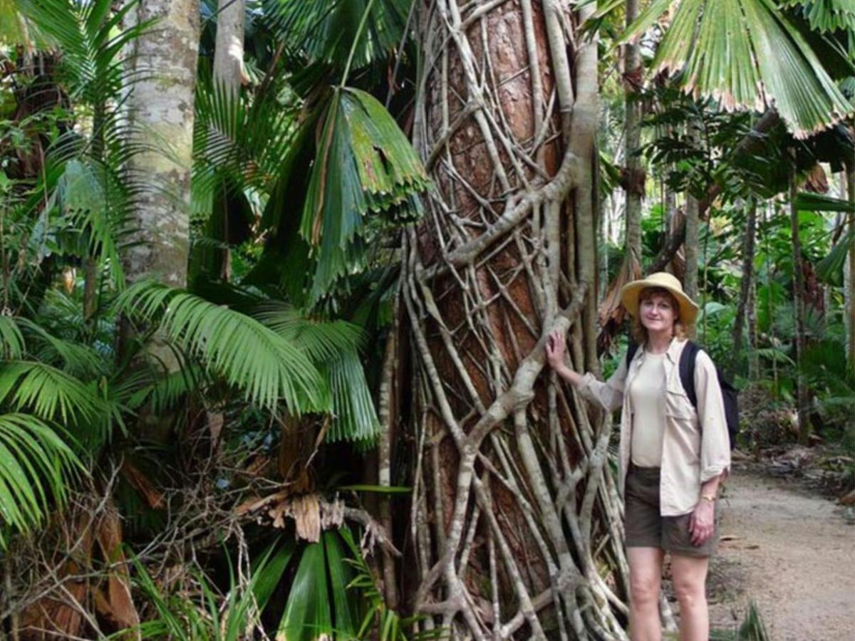 Daintree, Atherton Tablelands, Mossman Gorge & Dunk Island - 8 Day - Group-Guided