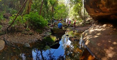 Carnarvon Gorge - 4 Day - Group-Guided
