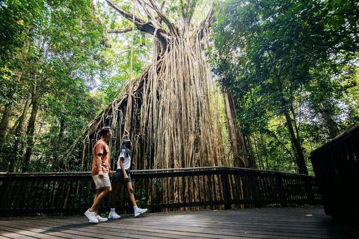9 Day Brisbane to Daintree Whitsundays Great Barrier Reef Comfort Tour