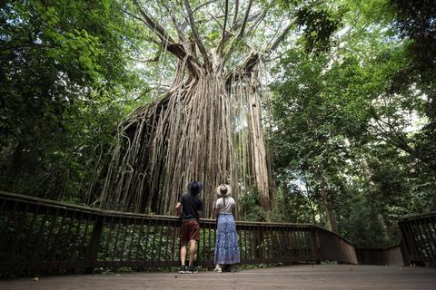 7 Day Brisbane to Cairns with Whitsundays Great Barrier Reef Comfort Tour
