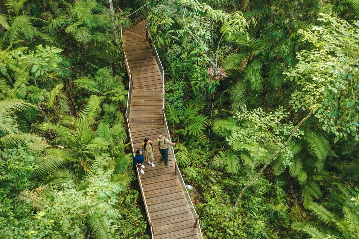 9 Day Brisbane to Daintree Whitsundays Great Barrier Reef Comfort Tour