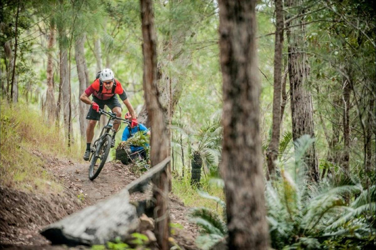 Atherton Forest Mountain Bike Park