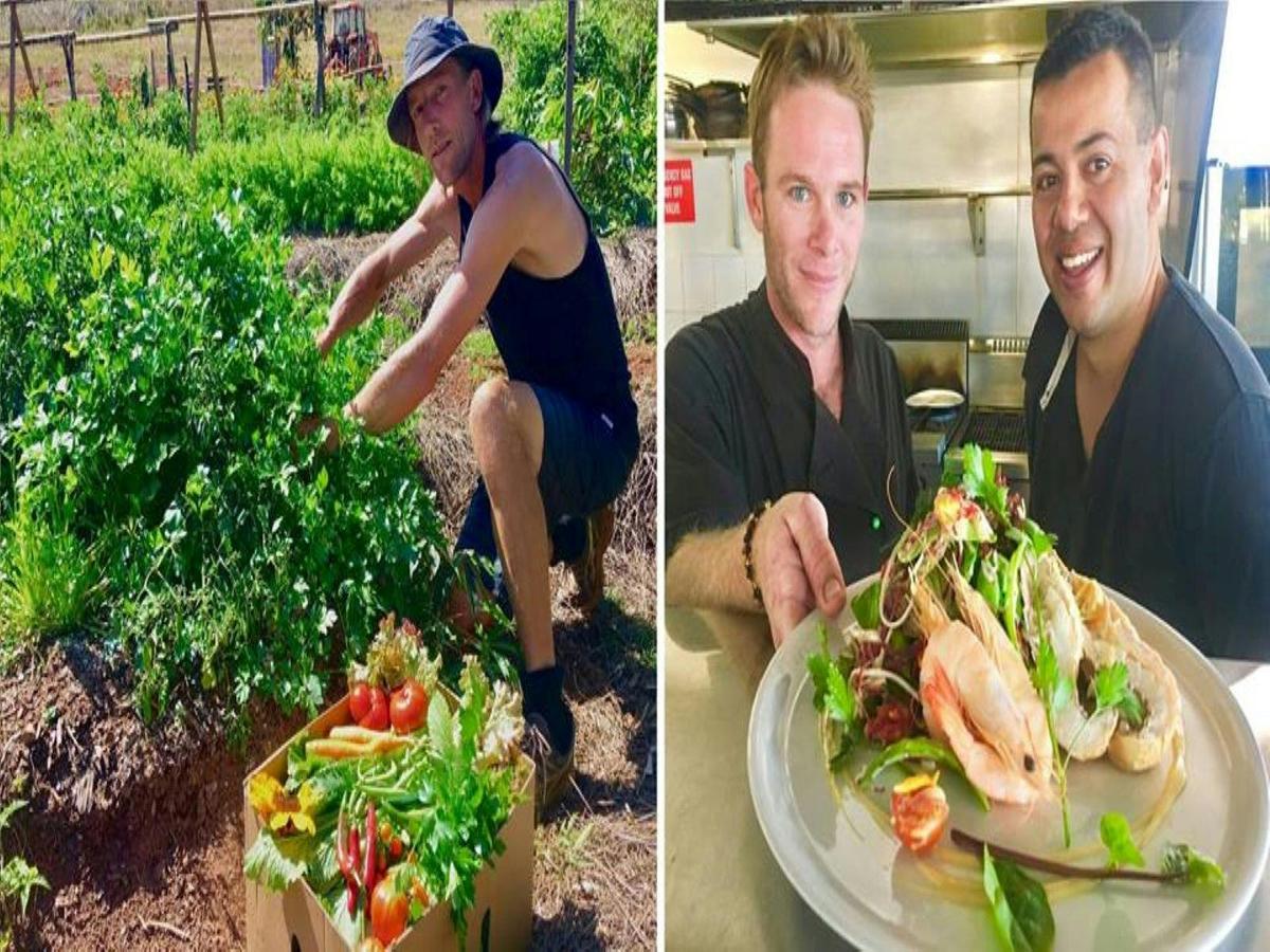 Farm to Table Dining Experience